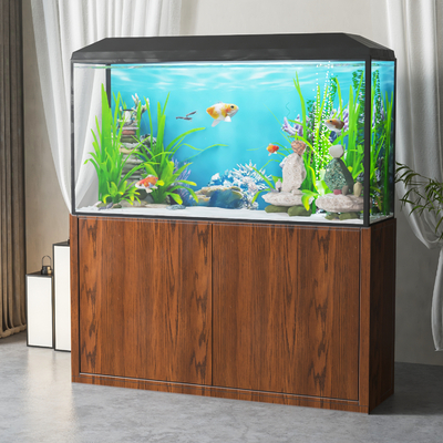 New Chinese Fish Tank