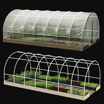 Modern Vegetable Greenhouse