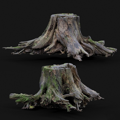 Root stump