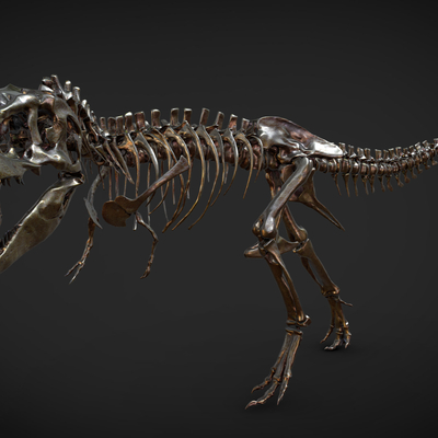 Dinosaur skeleton