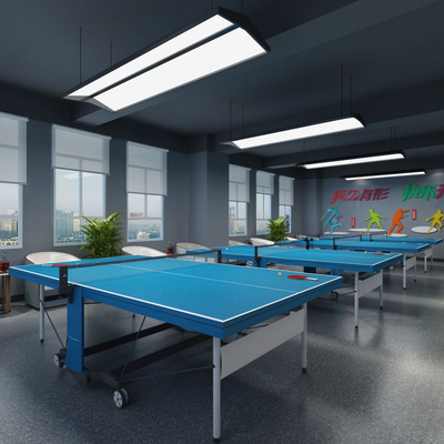 Modern table tennis room