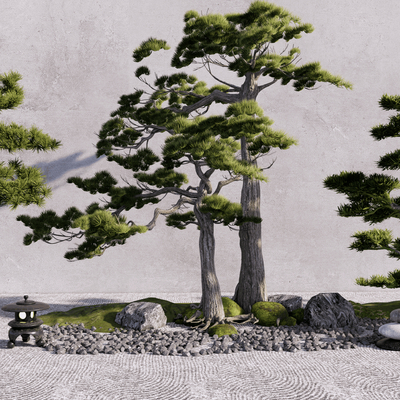 landscape tree welcome pine