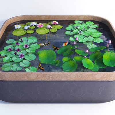 lotus aquatic plant