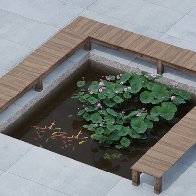 Anticorrosive wood viewing platform koi fish pond