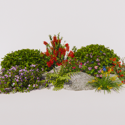 flowers and plants flower border shrub ball