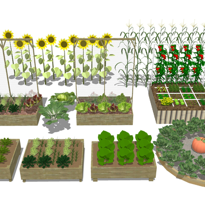 Vegetable Garden