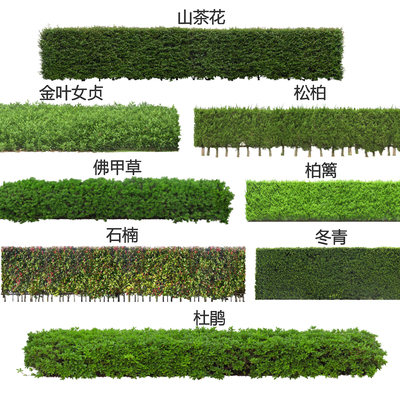 2D shrub hedge square shrub