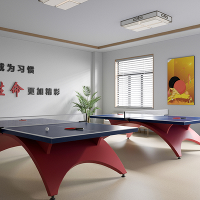 Modern table tennis room