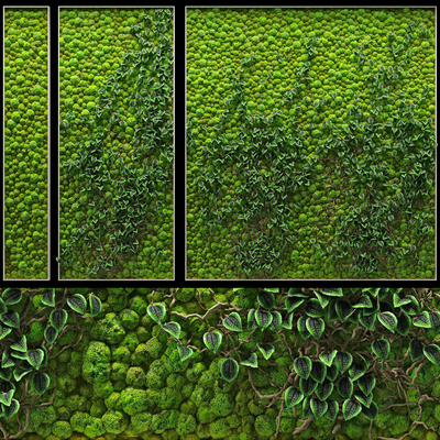 Plant wall