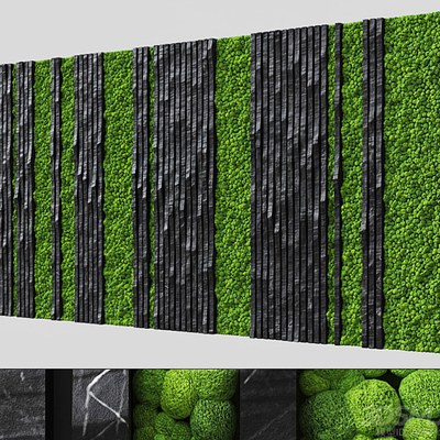 moss plant wall