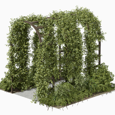 Plant Rattan Arch