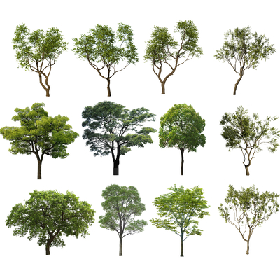 landscape tree 2d component