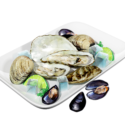 Supermarket seafood fresh oysters