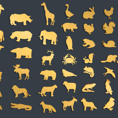 Animal Cartoon Icons