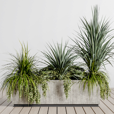 heaps of plants in flowerbed