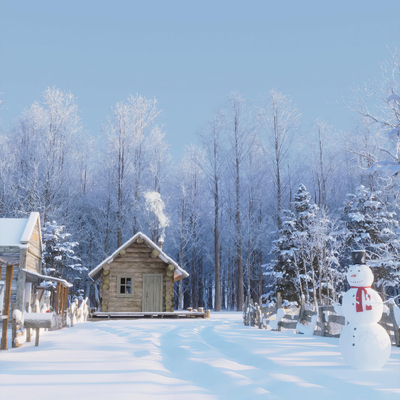 Modern Snow Wooden House