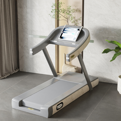 Modern Treadmill