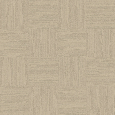 Modern beige carpet