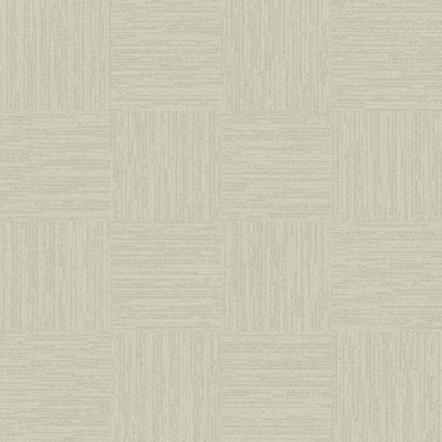 Modern Beige Carpet