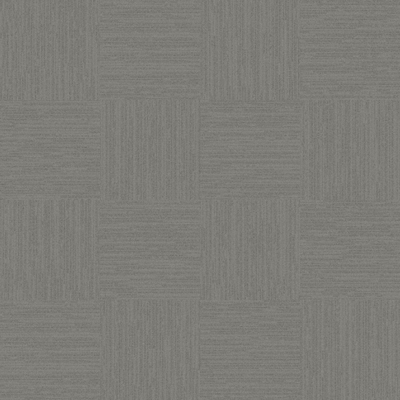 Modern gray carpet