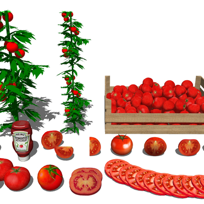 tomato fruit vegetable