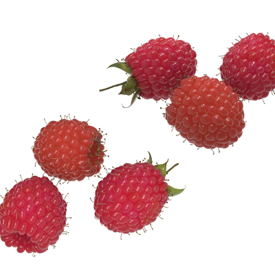 Fruit Raspberry