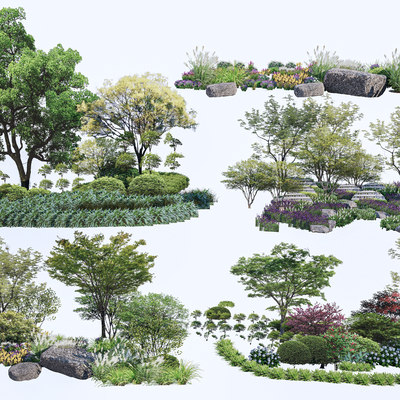 Landscape Plant Shrubs