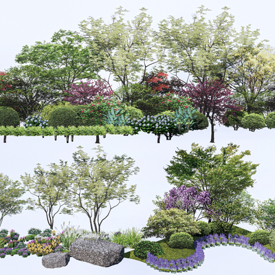 Landscape Plant Shrubs