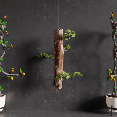 New Chinese Bonsai Bonsai