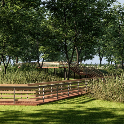 Forest Corridor Bridge