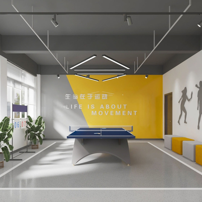 Modern table tennis room