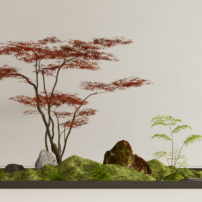 red maple landscape sketch plant pile micro terrain