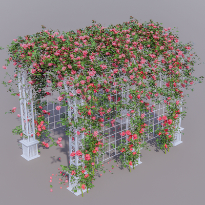 Modern Arched Flower Frame Corridor Frame