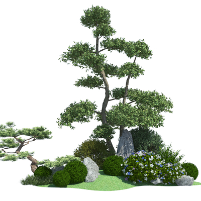 plant landscaping spherical shrub modeling tree