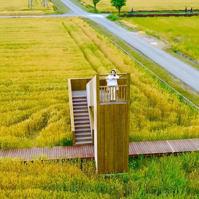 Paddy Field Landscape Observation Deck