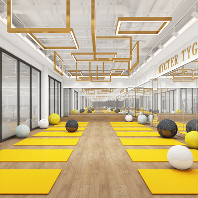 Modern Yoga Studio