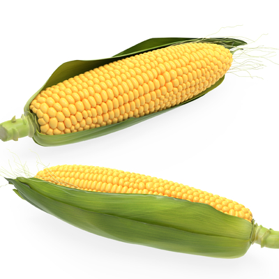 Corn