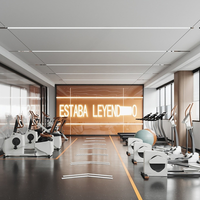 Modern Gym