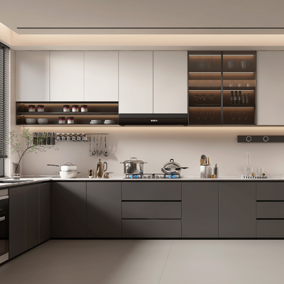 Modern Kitchen Cabinets