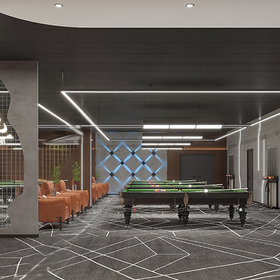 Modern Billiard Room