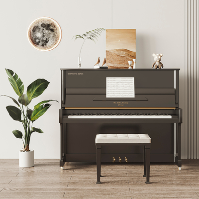 Modern Paint Piano