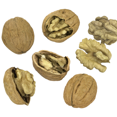 Walnut