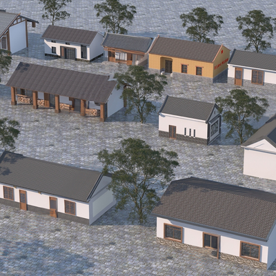 New Chinese-style Rural Houses