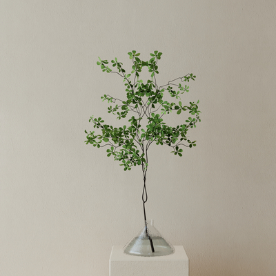 Aquatic Plant Vase