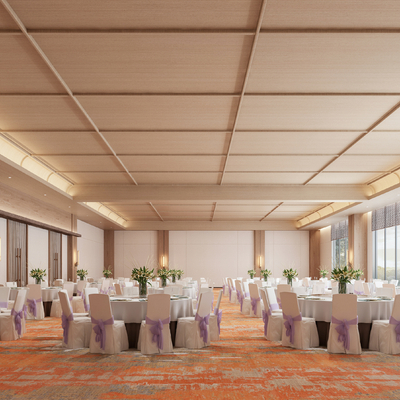 Modern Hotel Ballroom