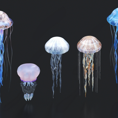 Jellyfish Luminous Jellyfish Marine Life