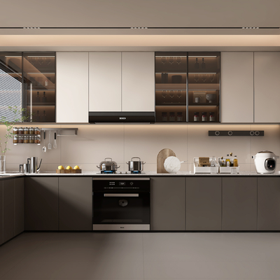 Modern Kitchen Cabinets