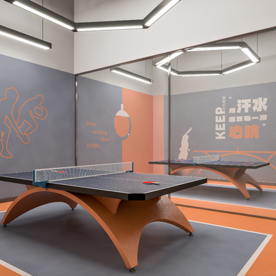 Modern table tennis room