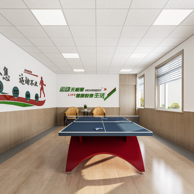 Modern table tennis room