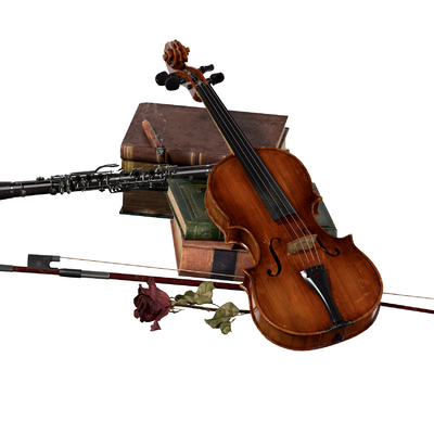 Modern Violin Instrument